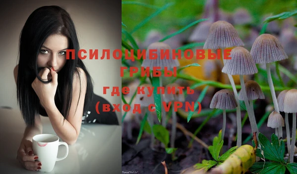 прущая мука Покачи